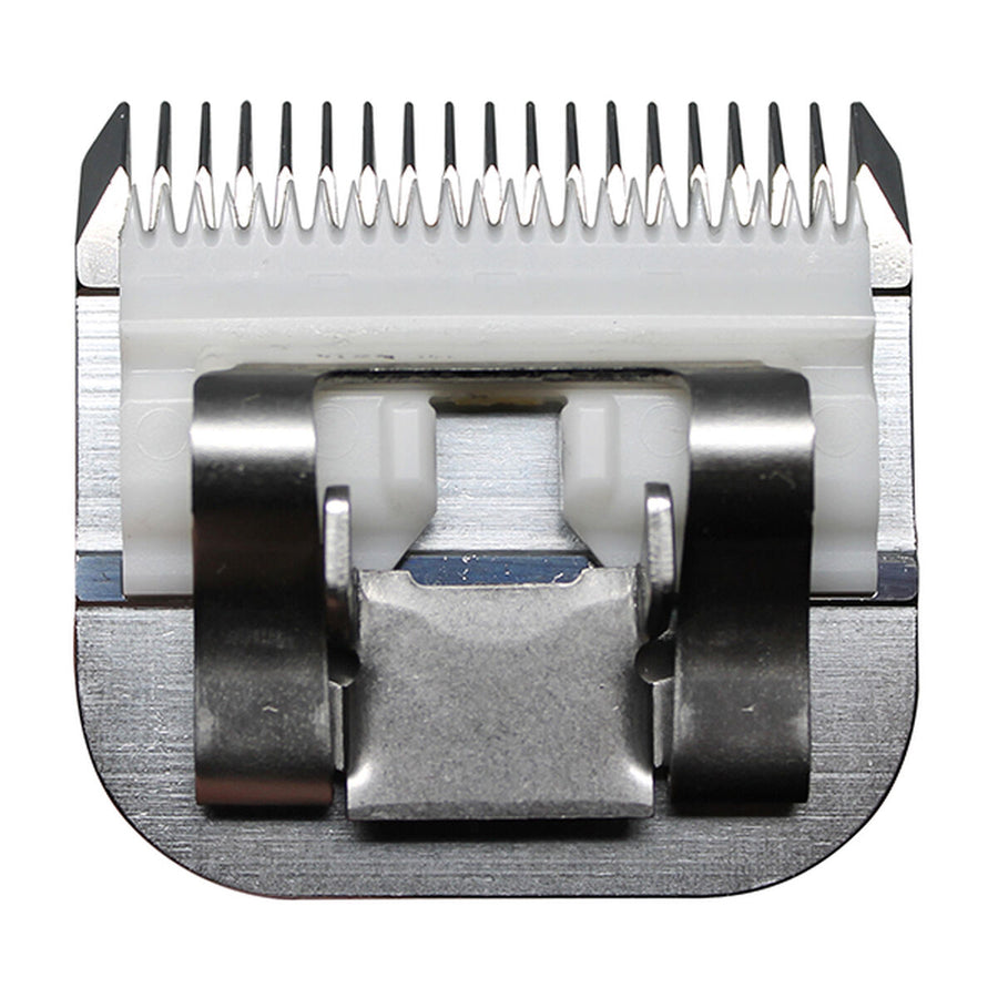 V3H985E39FD4A925E3F70EFCE20C04FC399R5554761P4