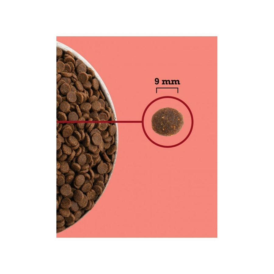 V3H4F9118BA05FF2353B95AF613106F9C91R5851858P2