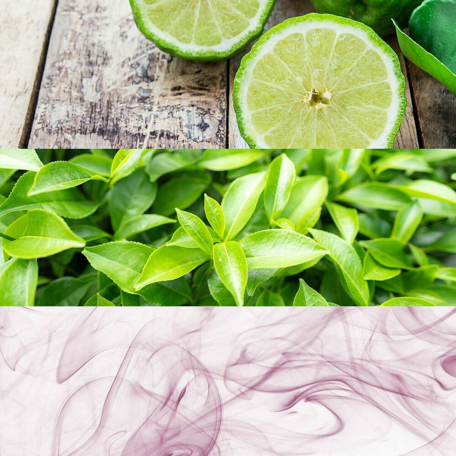 V11H5BCC7508FCB91BD2688409BE1CFC8407R3644007P5