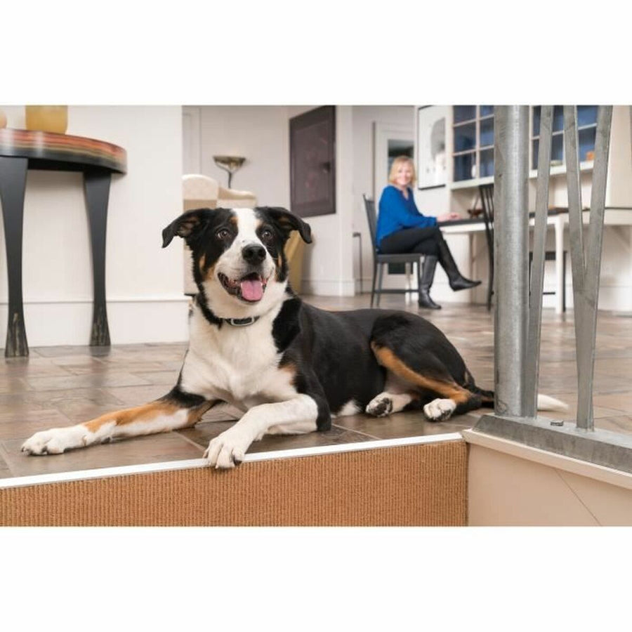 V3H1B45DA600F9855CDDB69F253289D67D2R5763555P2