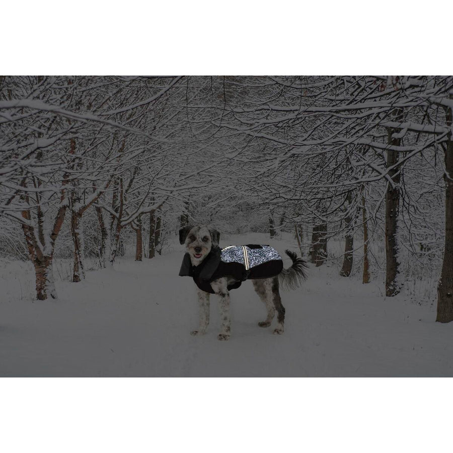 V4HB98D928D7D7E70DBDA1989684C0B8764R5332484P2