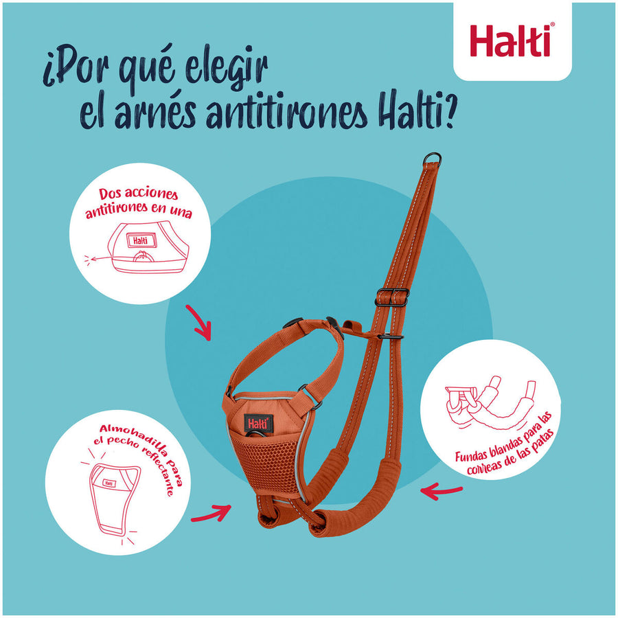 V2H88B488D51657F57F67D32A95383A6A9DR7523701P7