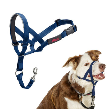 V2HC94EE78ABA50052949481F119F73ED6ER7523929P1