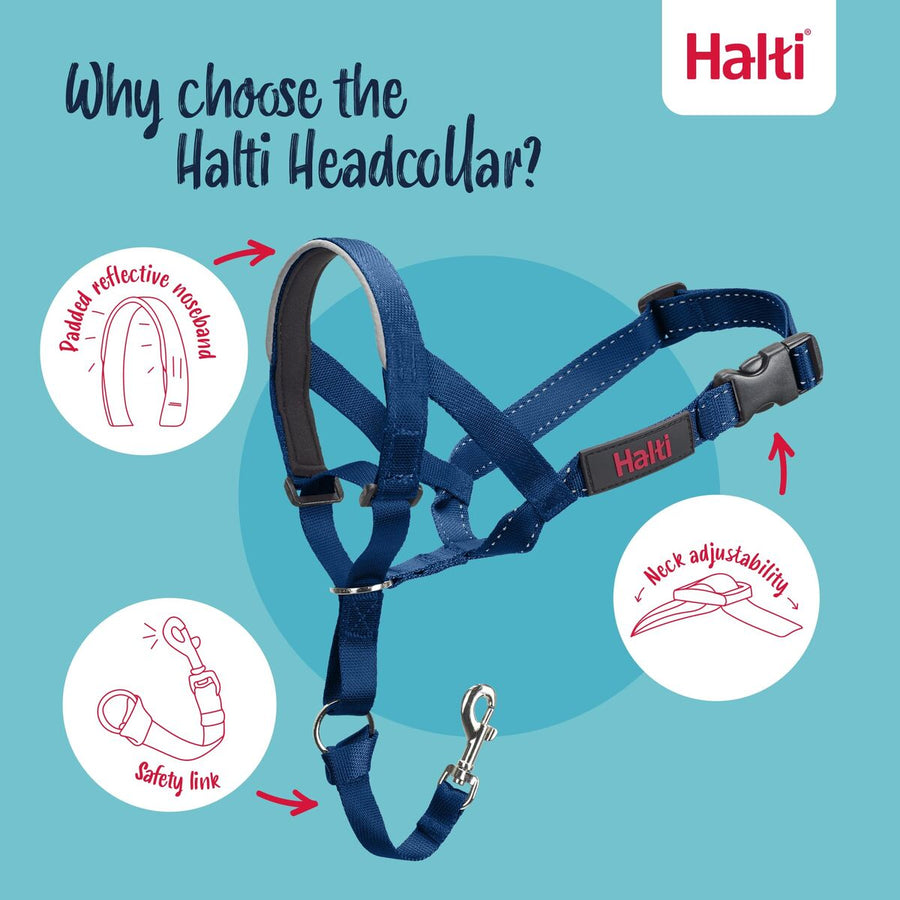 V2H3C53A106A790A4D9F3C5CEC4DC5D4C82R7523941P9