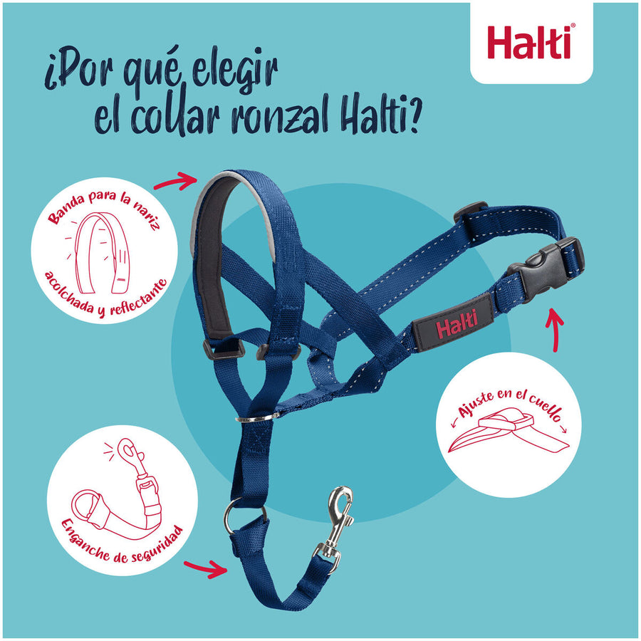 V2H31EDC7DAF79F637C07DF445B9ACB60B3R7523939P7