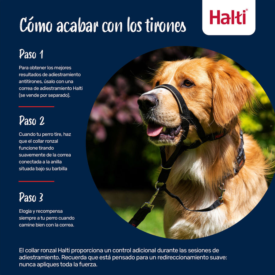 V2H44CA5A3D6588D6E937C50648099E64C8R7523851P3