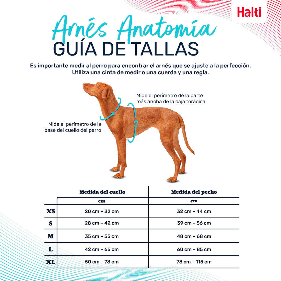 V4H14A93581D69A19D54CA3609F1C96C5B2R5328498P4