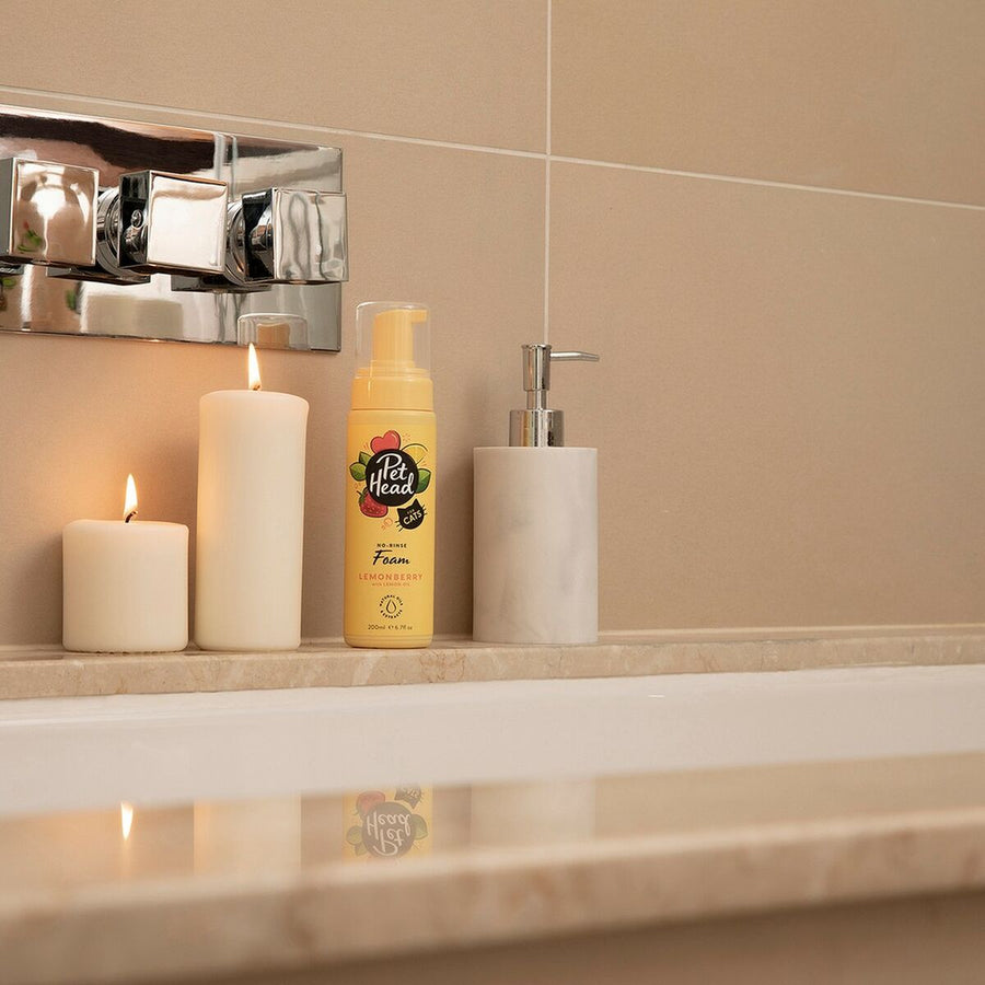 V10H15CB79B198557B57EAD79A51A5D13184R5576559P3