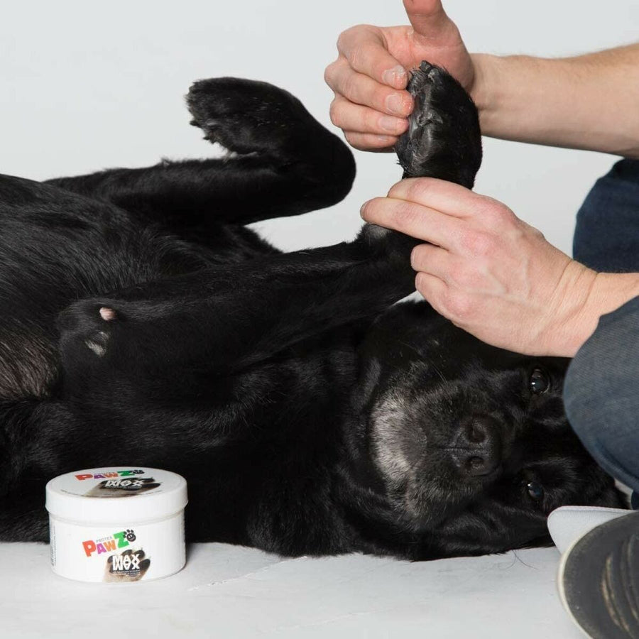 V3H420793D80DDEB706C5756DAD9A7D569CR5595059P5