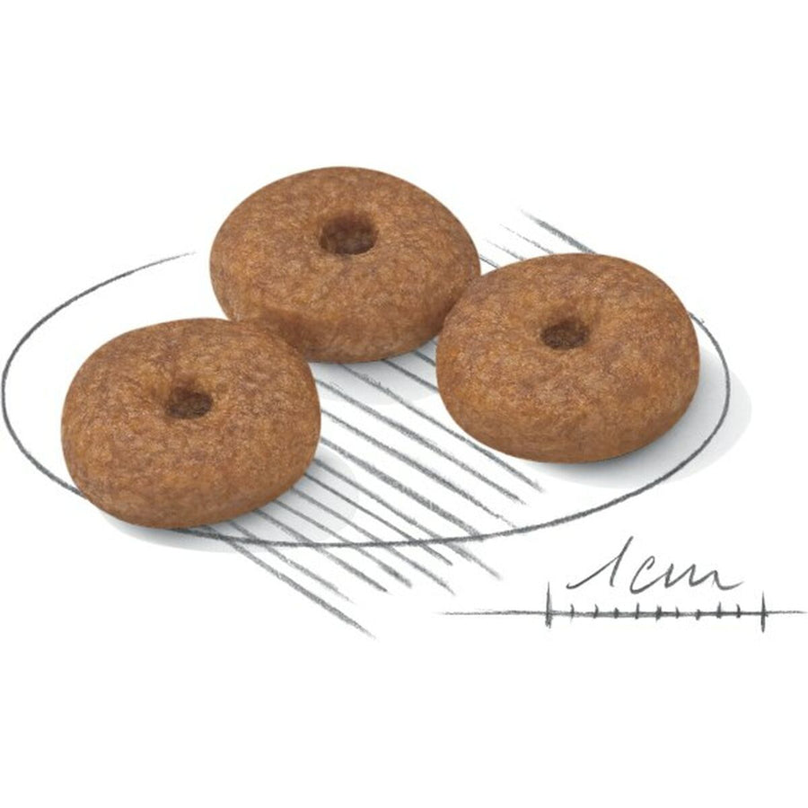 V5H77FBF15BFD4857BE43FD3E6252E64206R3548079P3