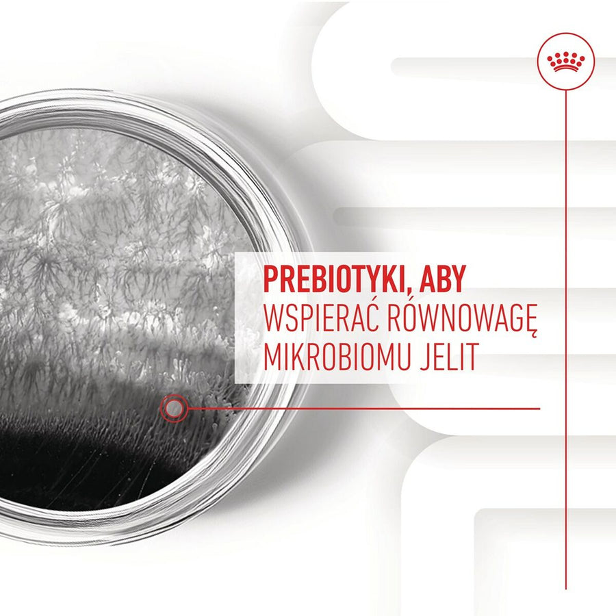 V3H0EF95C552E76EDF64FCEFF4AE47DD9F0R5624718P9