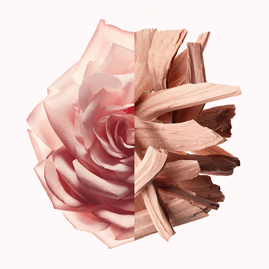 V4H4C4C5D73CD2087F0BEFB4F64BC079E68R5674604P3