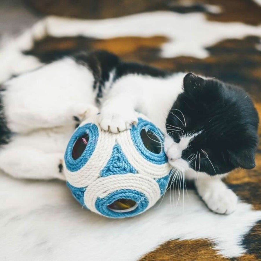 V3HDBEFA7986E4DADD2B9037F29442B4A31R5778939P4