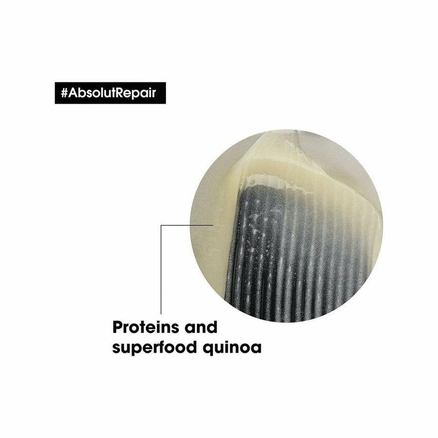 V11HE480BE72A8C78BB19C6EB7F5BD7645CDR3335429P2