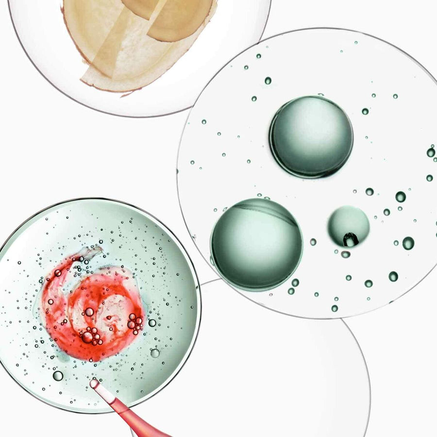 V2H306B3618C1A78FD1BA0D2D02FD911DA2R7095581P3