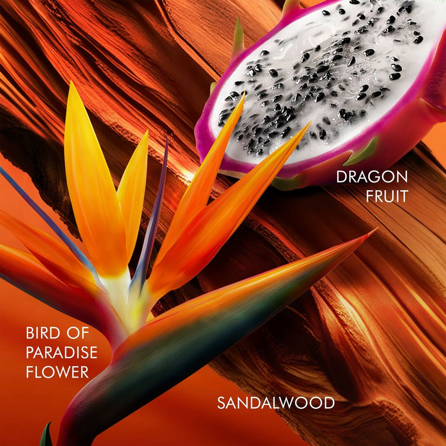 V3H68A311BD8D8E926A49EED6215D0B49CDR6240854P3