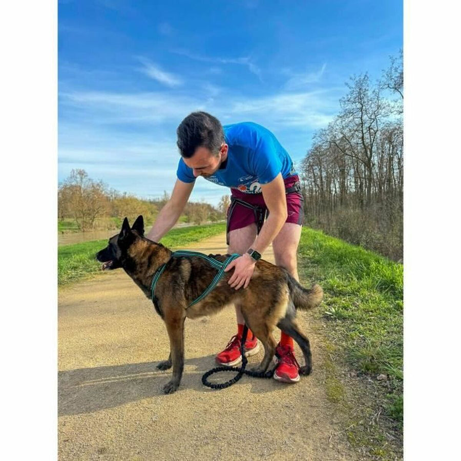 V4H52A398AA12B272DEE9312539341B0A0CR5293627P6