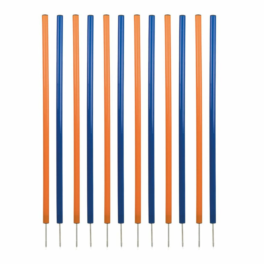 V3H0E1D33632766FA60CE1E5A698BCAF1E9R5763181P1