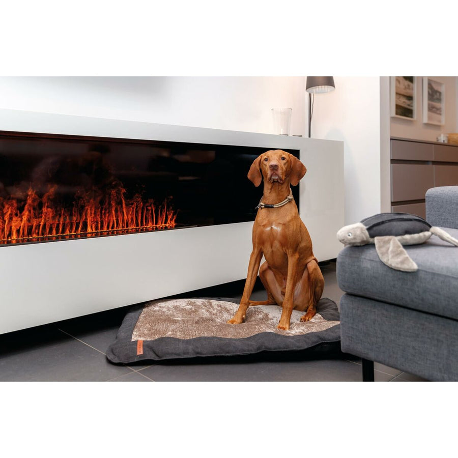 V5H72C6D7878942C42BC316B2DD966BFE32R5330546P8