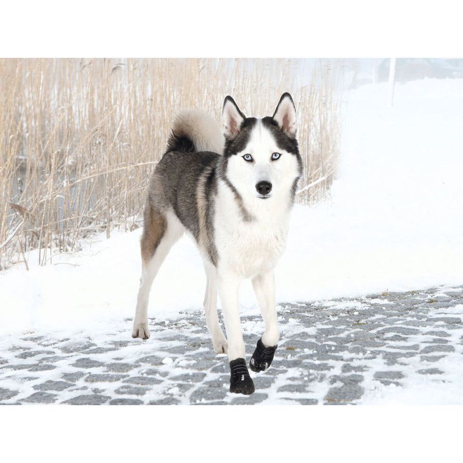 V3HA095589771909CE87CA612543B1123ACR7439897P3