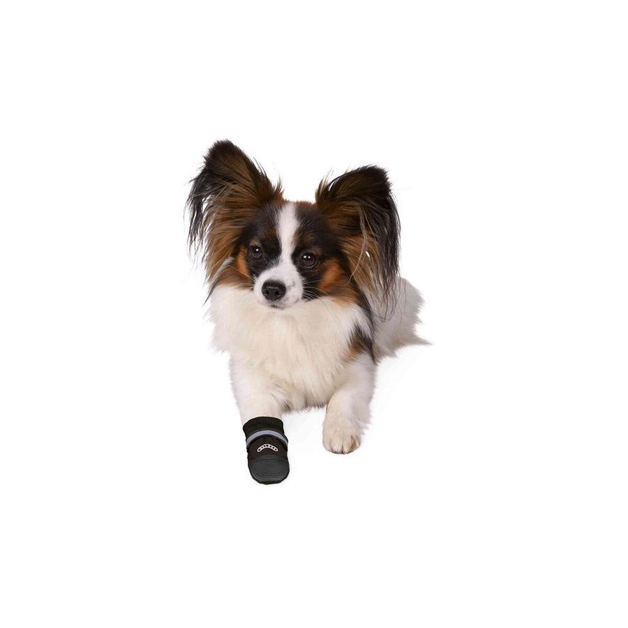 V3H730C8D12B147CF6D5FDE7912E45AE3E6R7440561P3