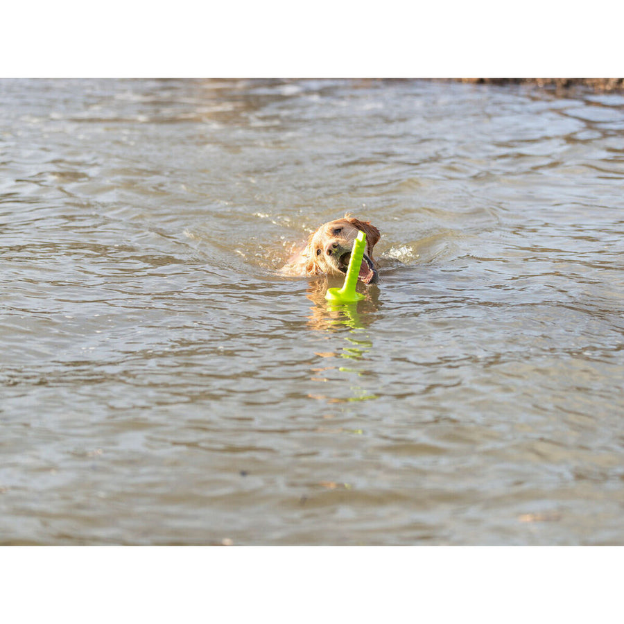 V6HD461802D8E9D4B9F6737655109C2538FR7443182P5