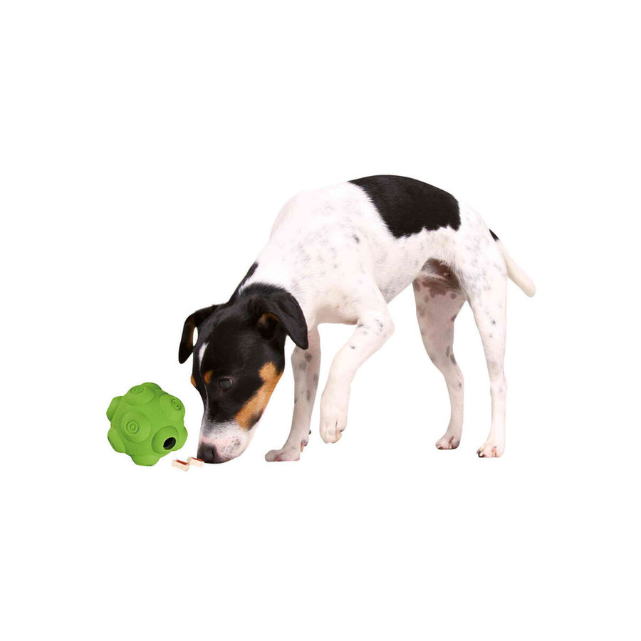 V6HE38E69C77A61FA4A9180A713BE368C35R7443241P2