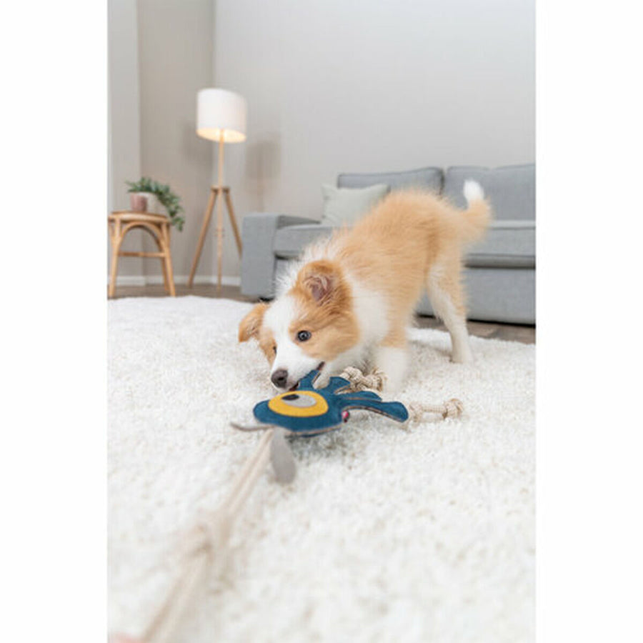 V3HA48C104ED267DFD20D34DBCEF6823D2FR7449073P6