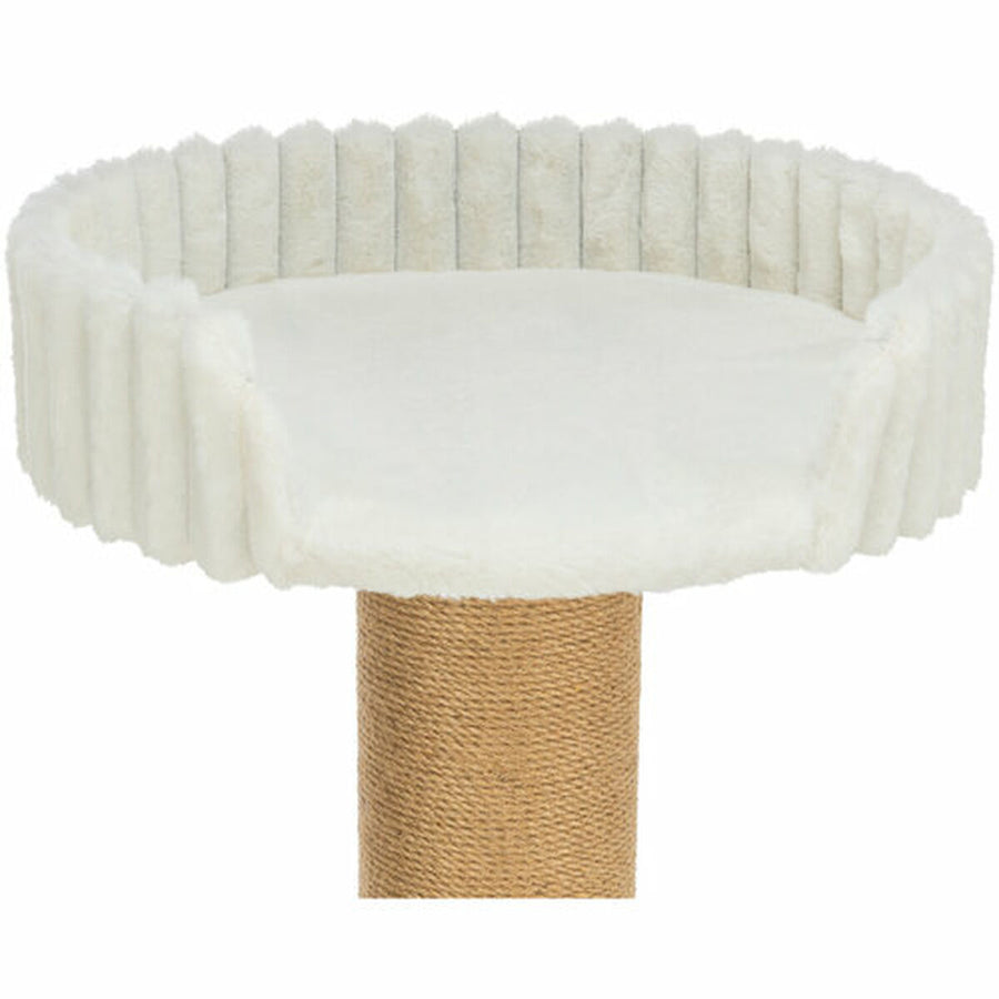 V3H7BD74B9EEC35538D480CB9F33B00FFA2R7449446P10