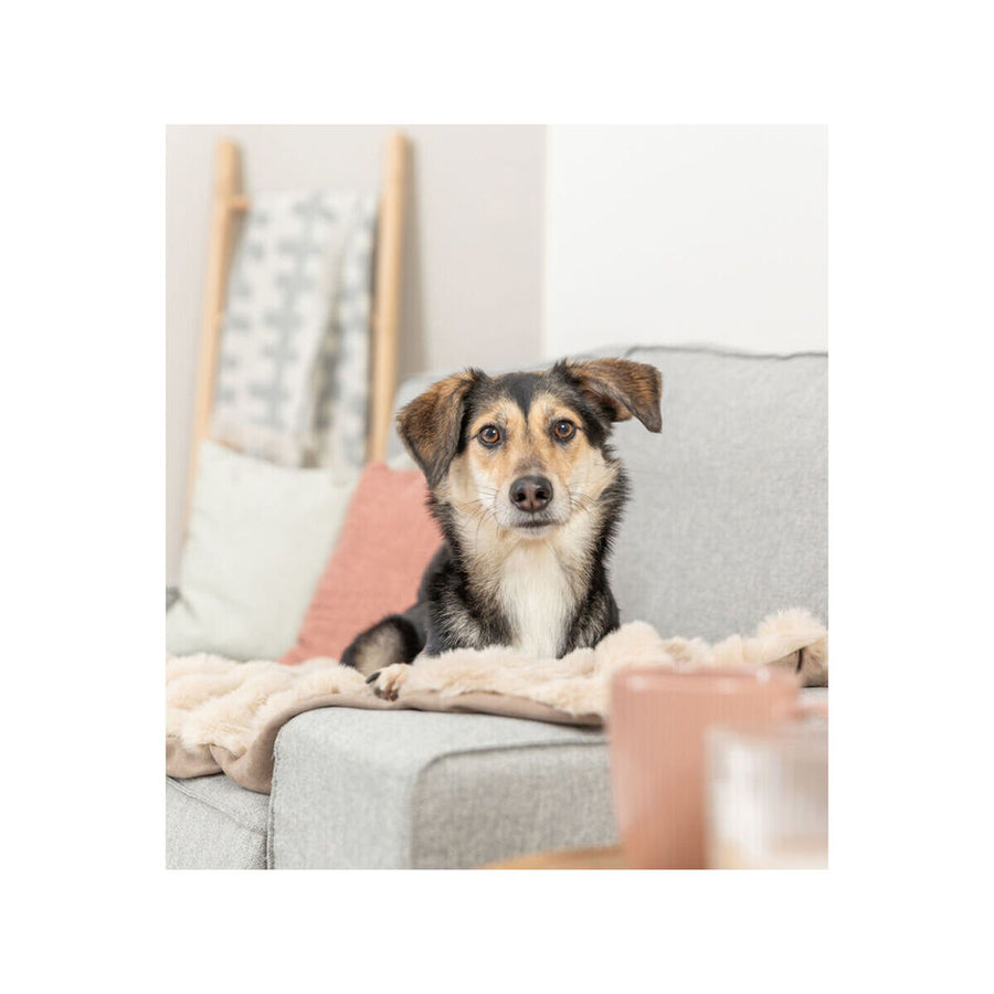 V3H640FA7C7317119D3F9F825F0868DADBFR7452677P3