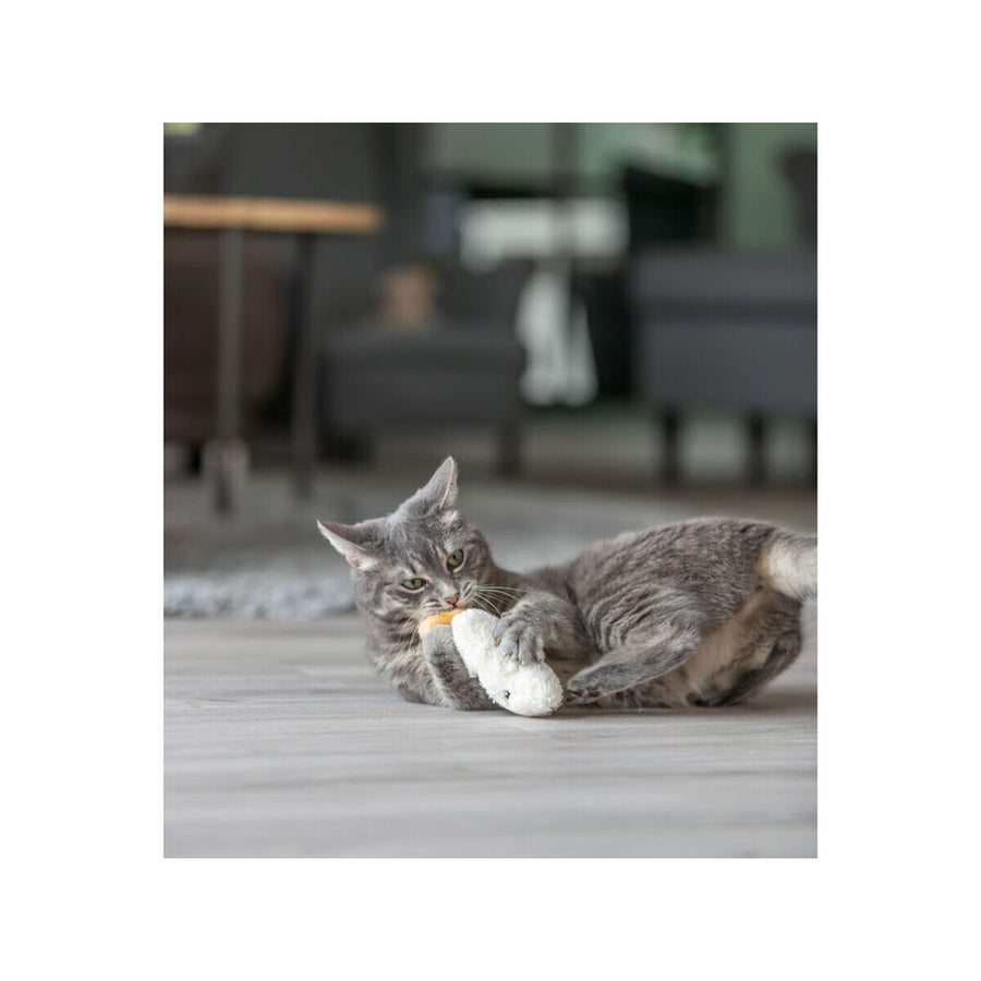 V2HB5531CF919EF967FBF812058B843912DR7463167P7