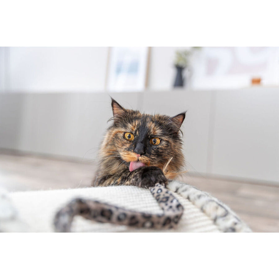 V2HA822D48794574151F126AB7E6123242ER7431711P7