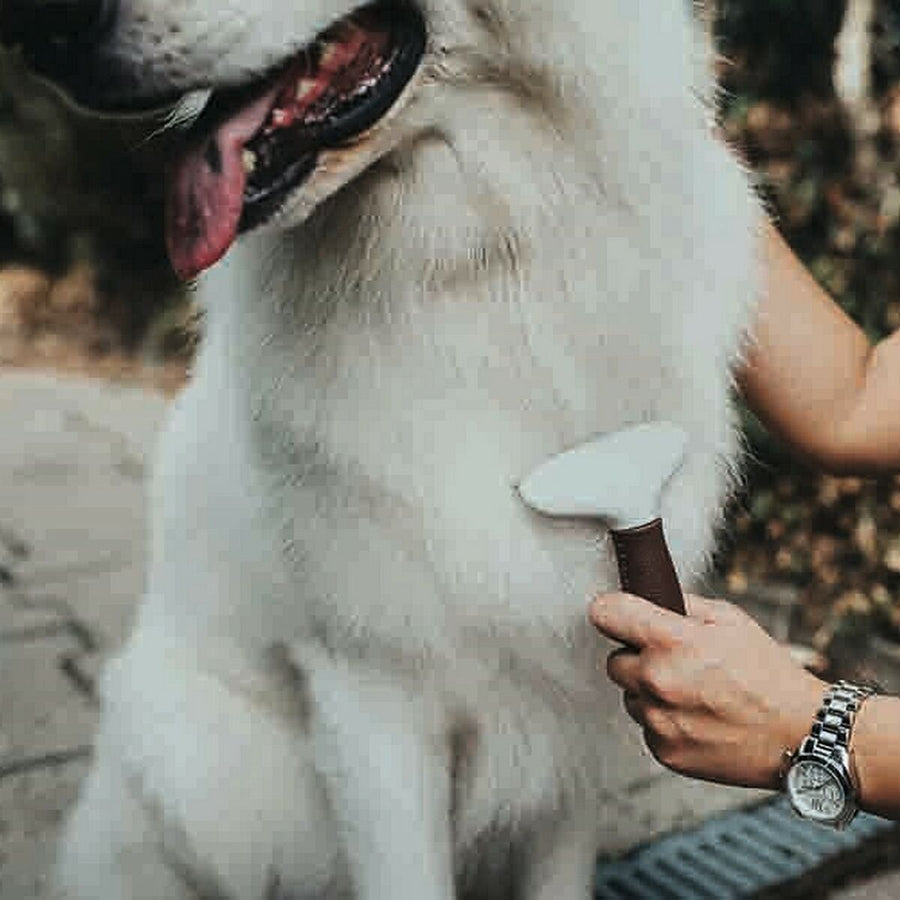 V9H31D66352C141FC1F9122397DAD867011R2351998P3