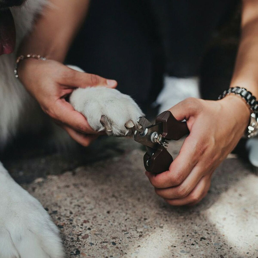 V9H31F5167231D926AFF98114184FE9F3FBR5597728P2