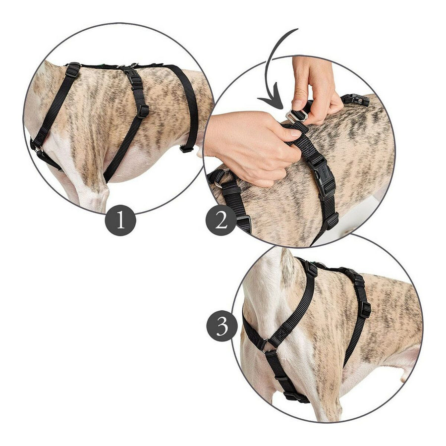 V6HBDCC0755410674496E3BB030B4AF1F2FR4989175P1