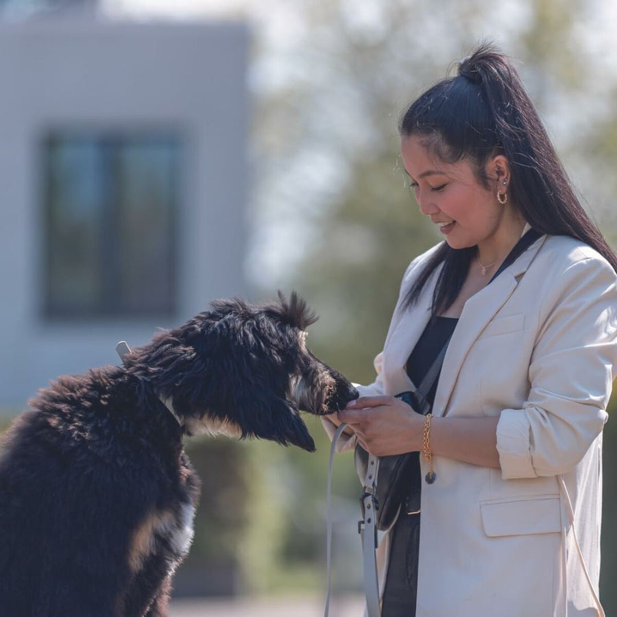 V5H7B5BB7BE70A0EE1D2DFF48DCE948D34AR5330470P6