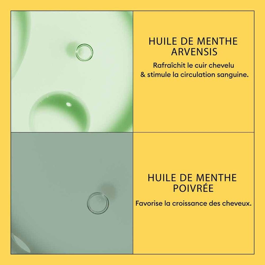 V2H3D05A0AC95CDF0CC80C20380DFE8E3CDR7509596P4