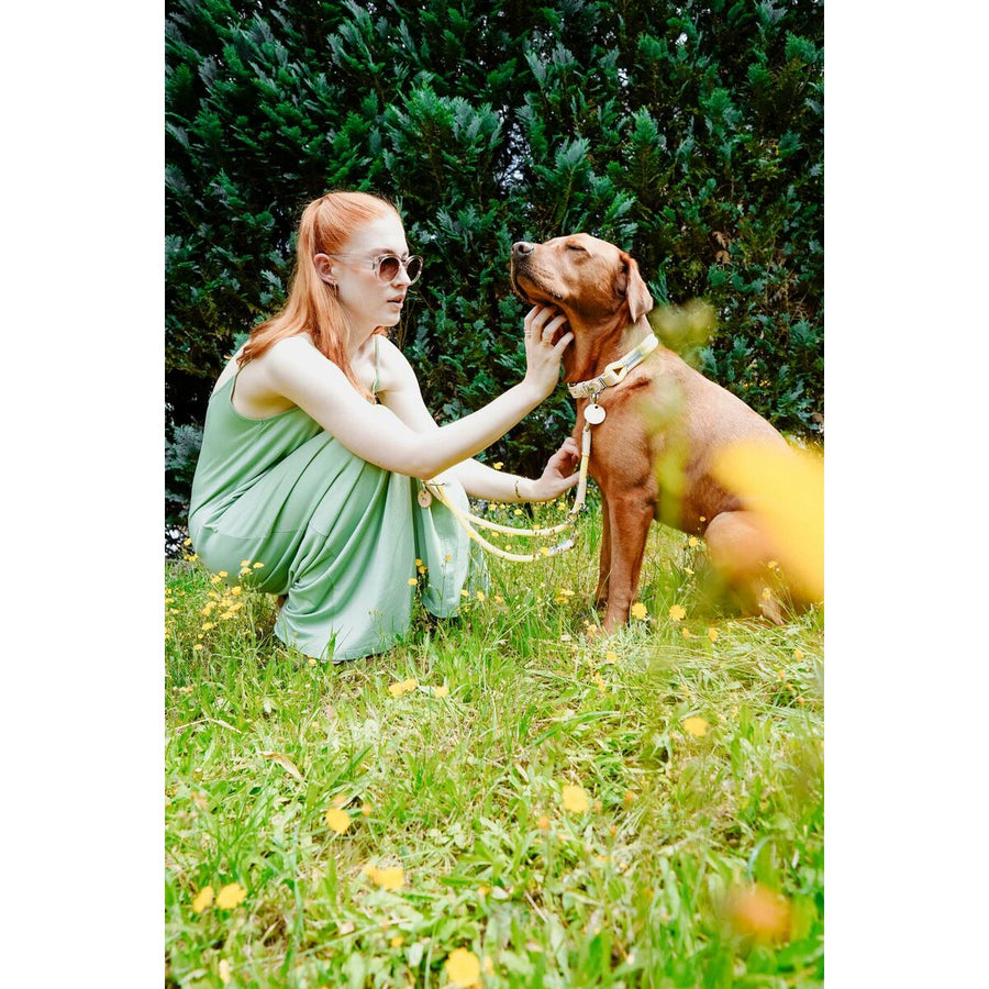 V3H9DD9C520FD4399FFFD550D4E723DE80BR5575470P5