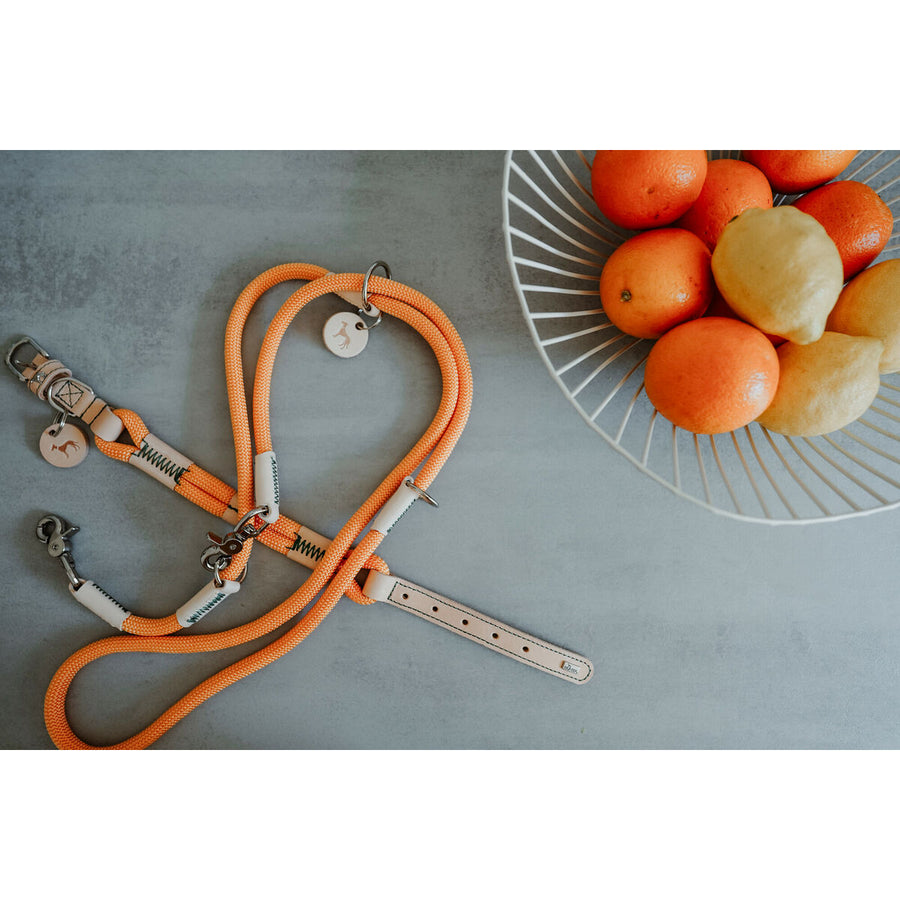 V3H6DFAE8297D94D55549E44A9E777B1B6DR5575452P6