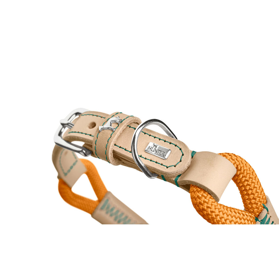 V3H7A7BD54493ECB39414CB780F6F818D0CR5575450P5