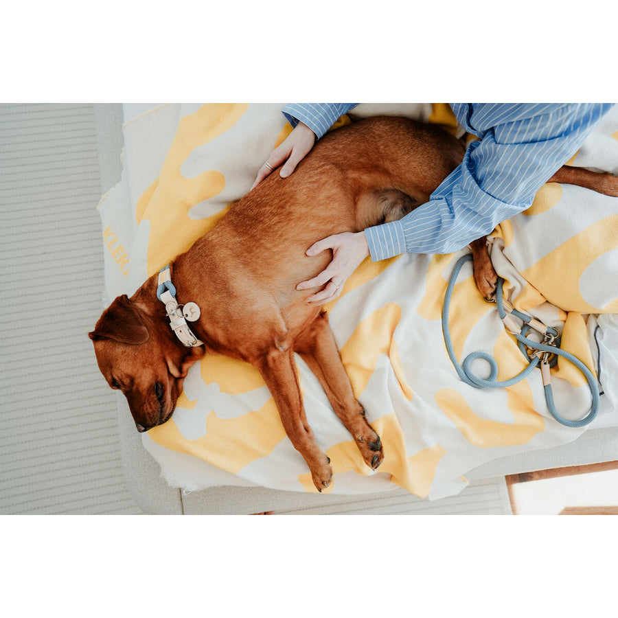 V3HCD140FD2BB2E929FC3A8A2BDE90E078CR5575510P5