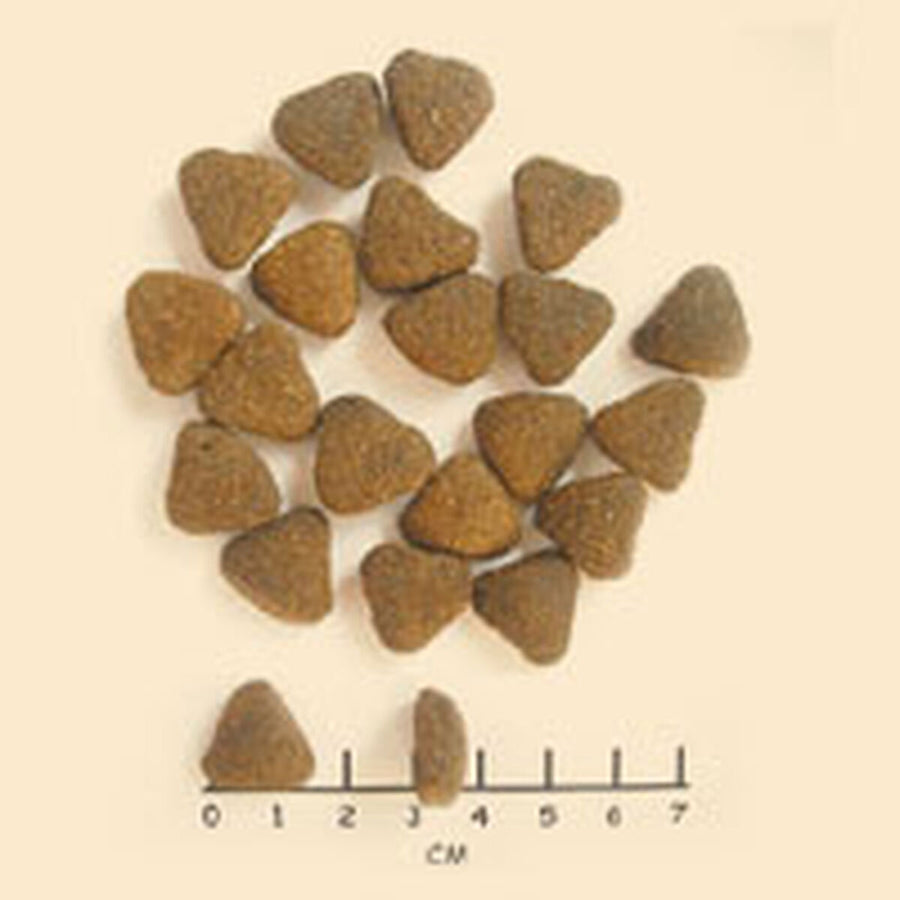 V3H5561816C8778C3D2A529A8ACB3790E84R6454197P4