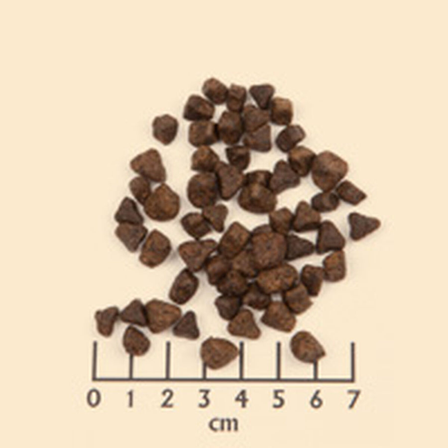 V3H9DE1FBC5959EEF60FCEE2D5839A370B3R6454323P4