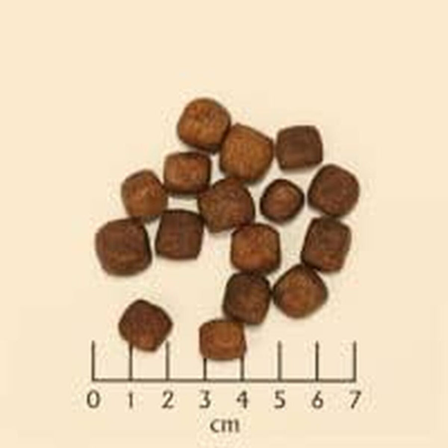 V3H627A27159DBD436C1504AC8A59F83A28R6454393P6