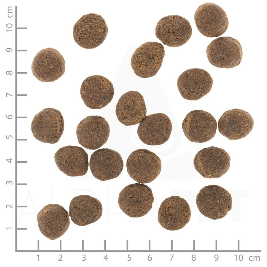 V3H079B7615EAFD5C70DEAF4037A50BDBCCR6454293P3