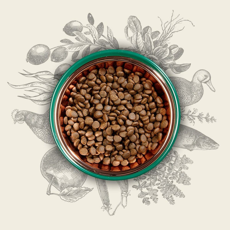 V3H012F617F635A9521386C21175BAD4B08R5624064P4