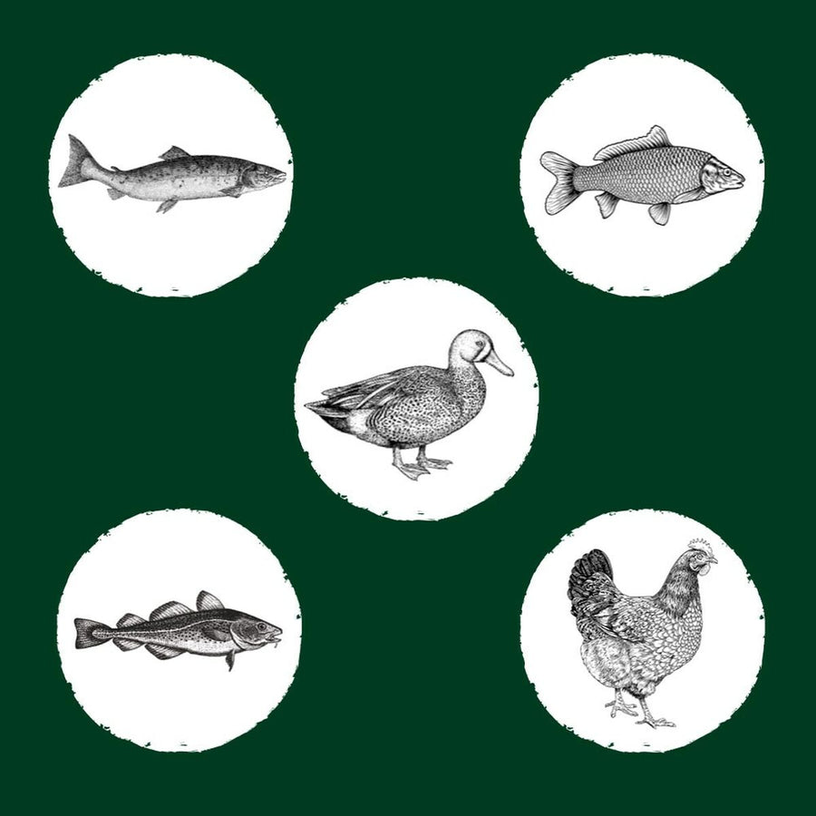 V3HEAFB7B106BF3B8509F35004CA26EE2BDR5624066P6