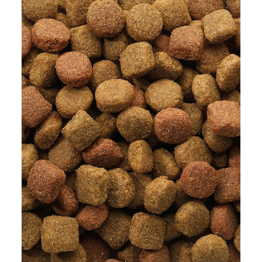 V5HA18C1602A85C2E5D11202C0C24221BEFR3957906P2