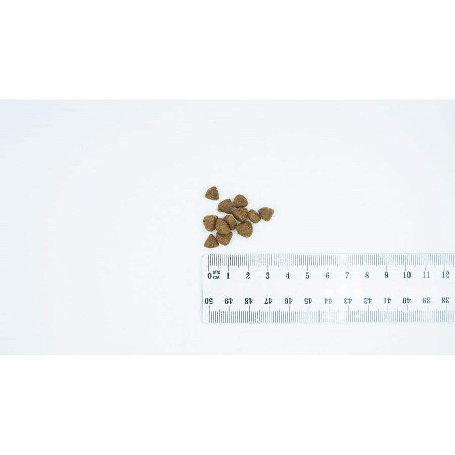 V3H05387CF593CA3A0FB79DDBFD795B5E53R6200903P2