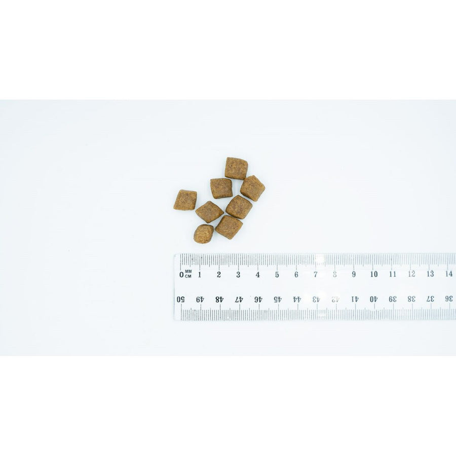 V3H1464544FD45830F3697935AD9AB2E190R5624560P2